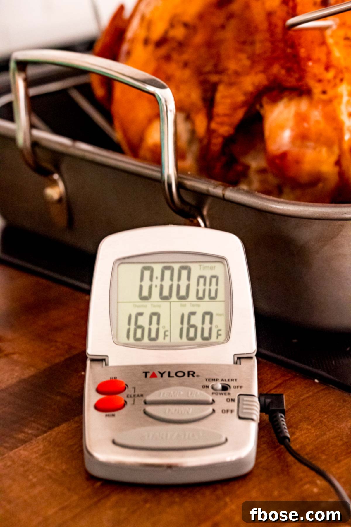 Digital thermometer displaying a precise temperature reading on a beautifully roasted turkey, ensuring perfect doneness.