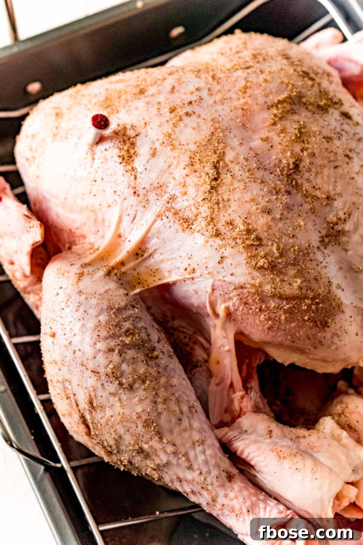 A raw turkey generously rubbed with a homemade dry rub, ready for roasting.