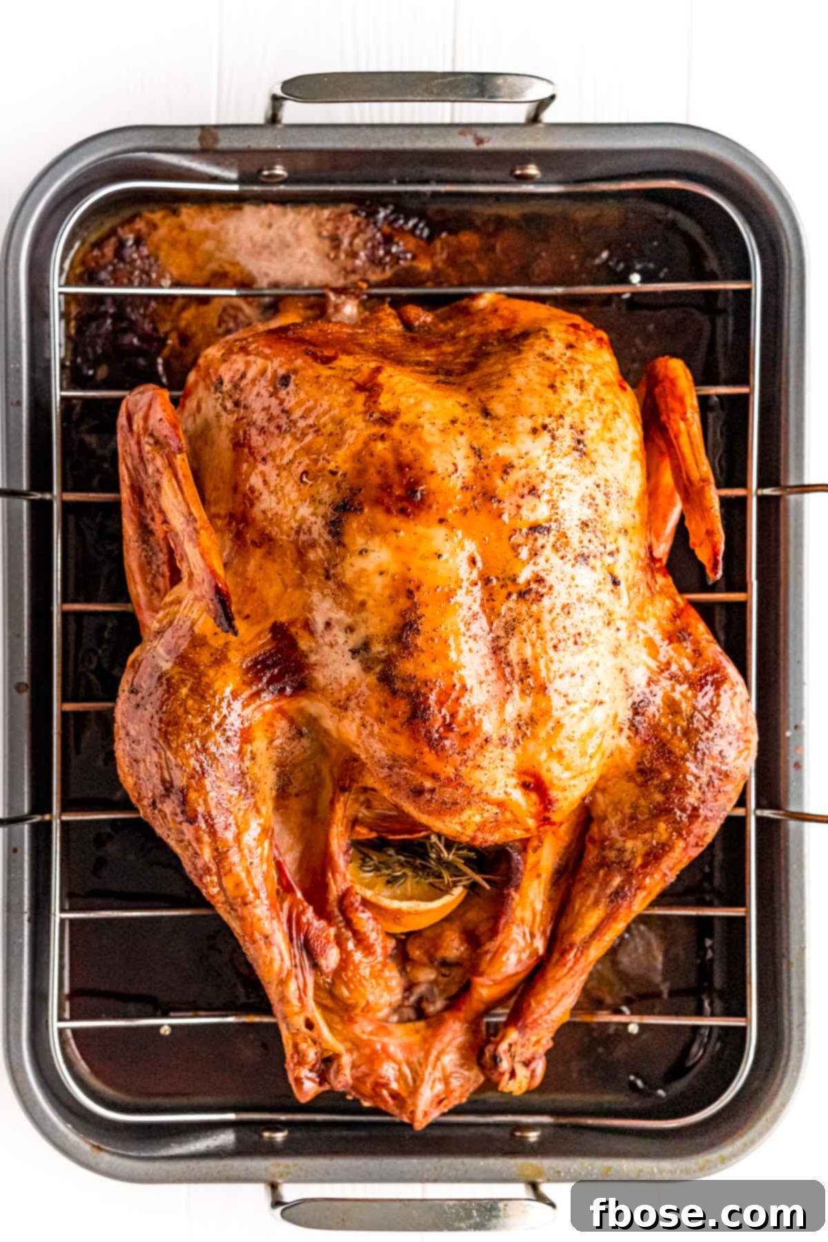 Overhead perspective of a perfectly roasted turkey nestled in a roasting pan, glistening and golden.
