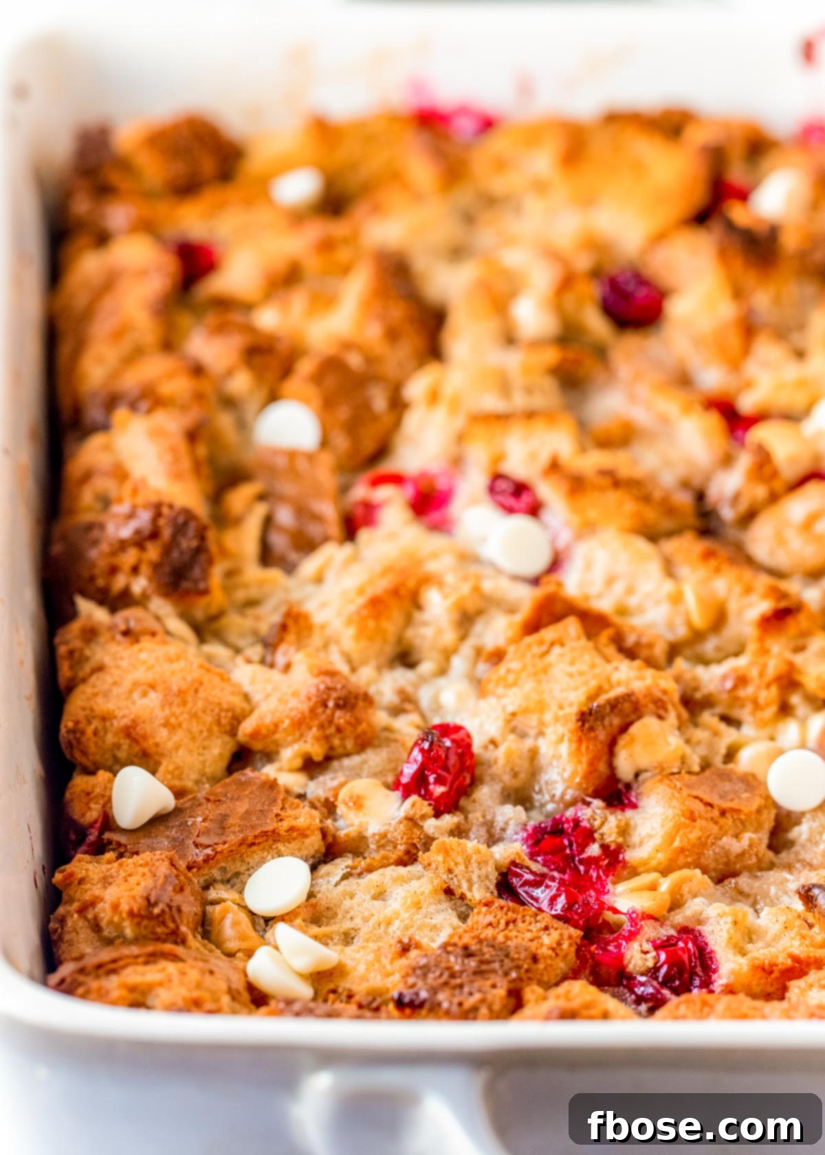 Cranberry and white chocolate bread pudding in a white baking dish, showing its golden-brown top and bubbling custard.