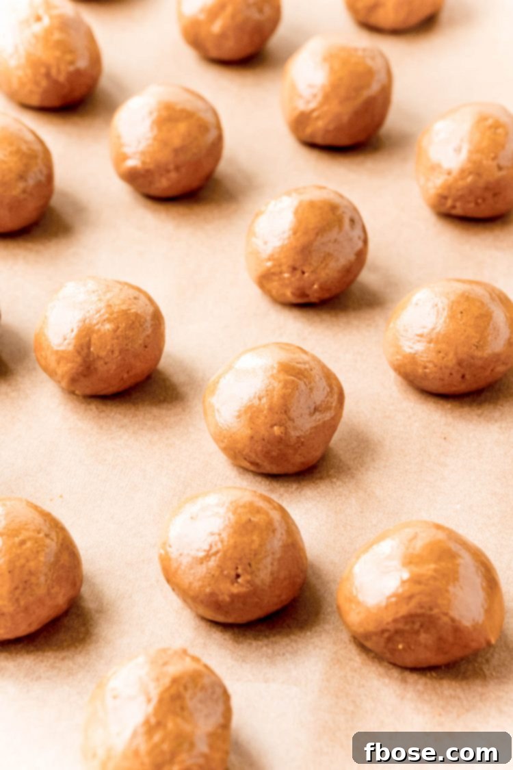Gingerbread truffles neatly arranged on a parchment-lined baking sheet, prepared and ready to be chilled in the refrigerator.