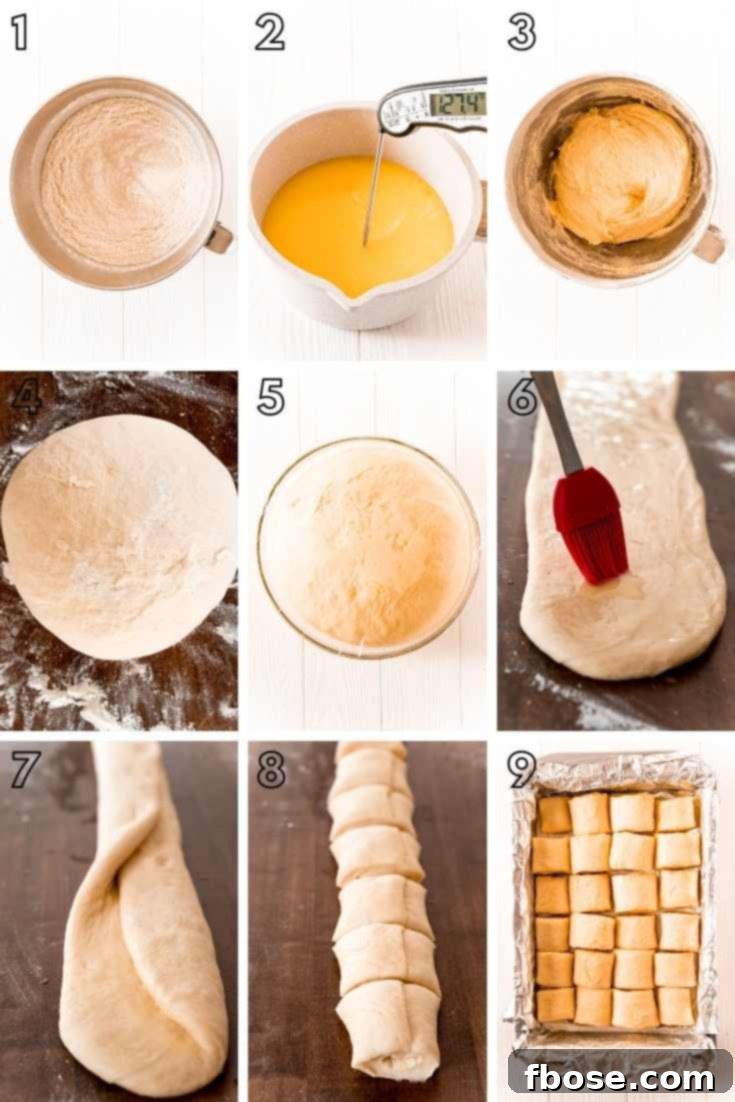 Step-by-step photos showing how to make parker house rolls.