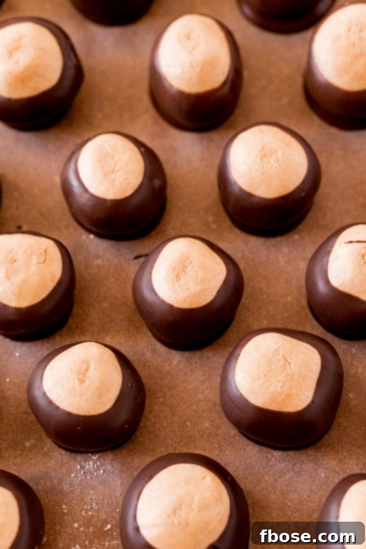Freshly dipped peanut butter buckeyes arranged neatly on a sheet of parchment paper, allowing the chocolate to harden.