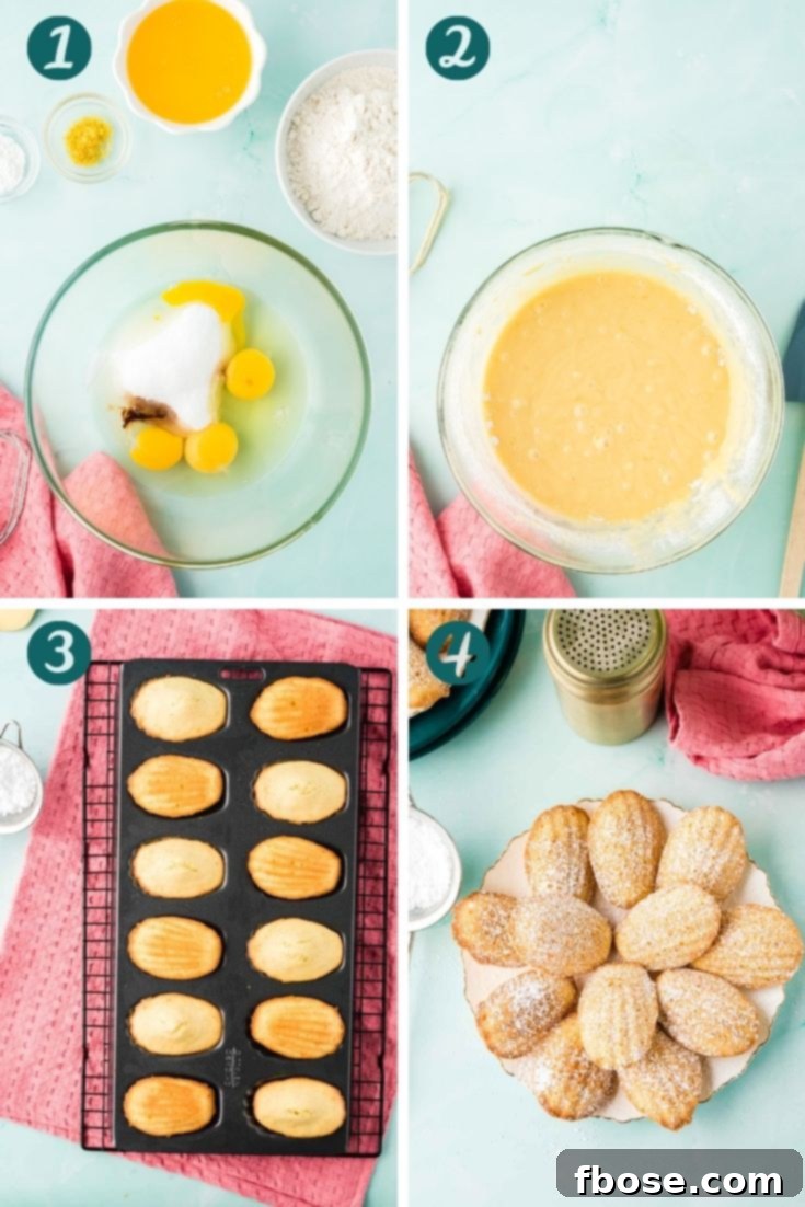Step by step photo collage showing how to make French madeleines, from mixing ingredients to golden-baked cakes.