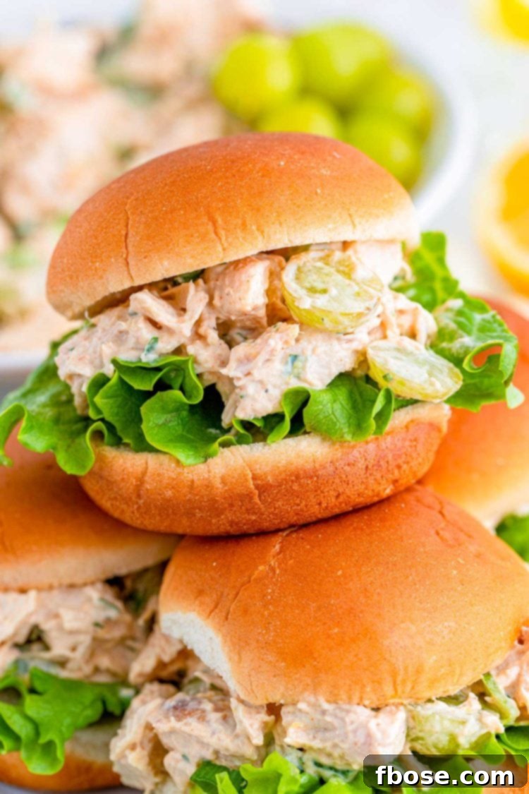Orchard Chicken Salad 2 Close up photo of burger burns with chicken salad piled on a plate.