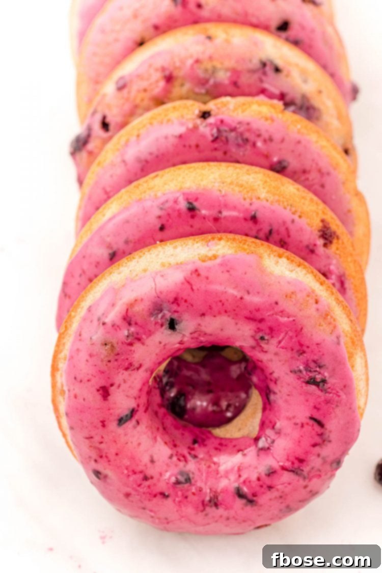 Close up photo of blueberry donuts in a row on a white counter top.