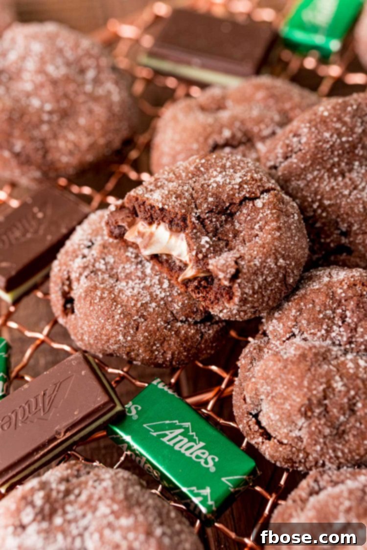 Close up photo of mint chocolate cookies with Andes mints on a copper wire rack.