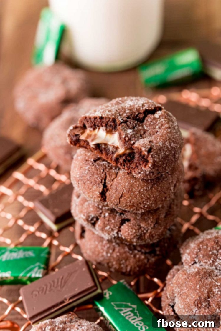 A stack of chocolate mint cookies on a cooling rack. The top on has a bite taken out of it.