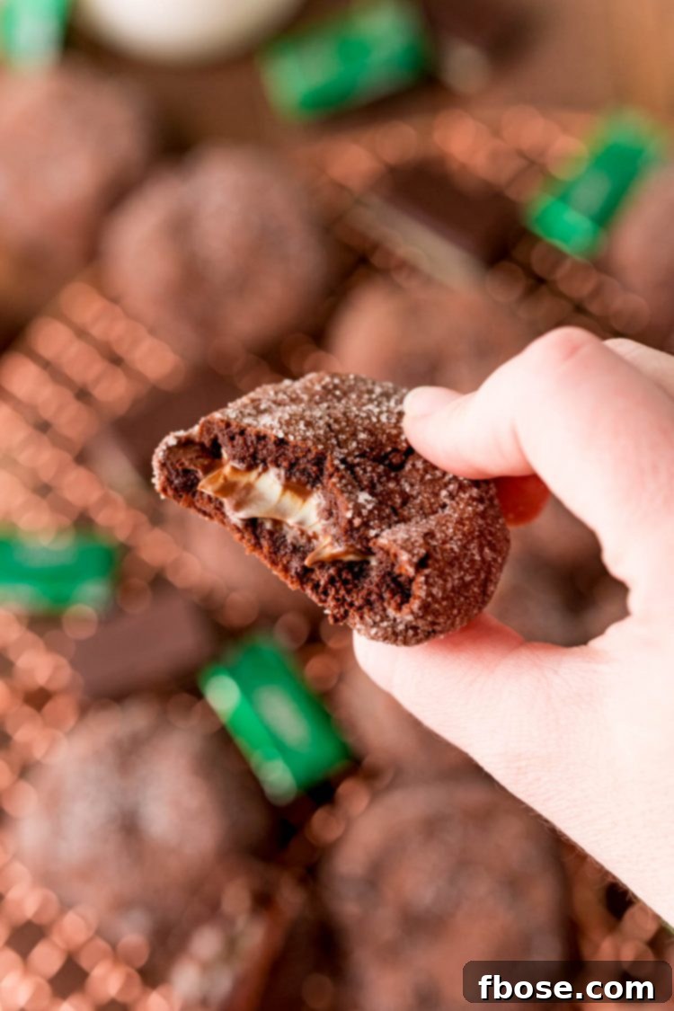 Close up photo of a woman's hand holding a Mint Chocolate Cookies with a bite taken out of it.