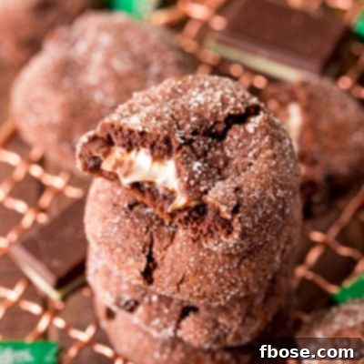 A stack of chocolate mint cookies on a cooling rack. The top on has a bite taken out of it.