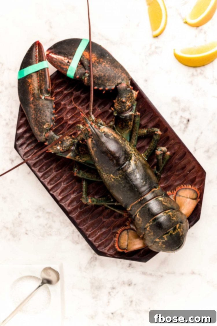 Overhead photo of a live lobster on a cutting board ready to be cooked.