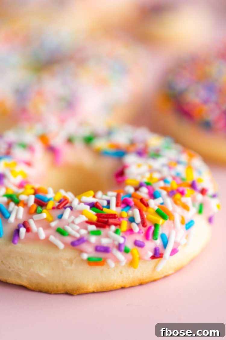 Close up photo of a donut cookie covered in rainbow sprinkles.