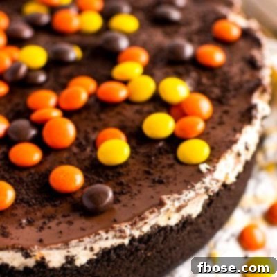 Close up photo of a no bake peanut butter cheesecake topped with Reese's Pieces.