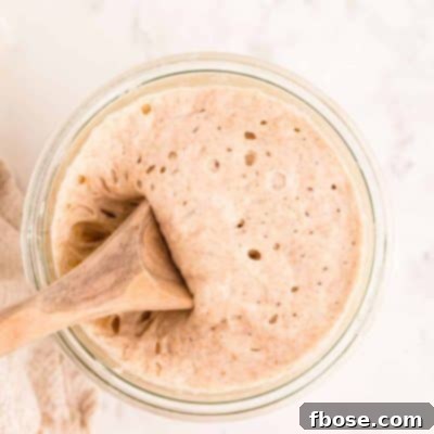 Building a Sourdough Starter 13 A wooden spoon scooping sourdough starter out of a glass jar.