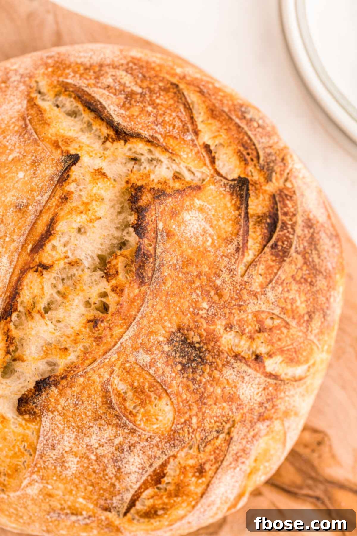 Overhead close up of a perfectly baked loaf of sourdough bread with a crispy crust.