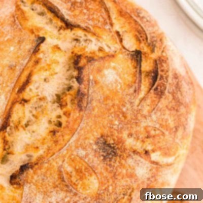 Overhead close up of a perfectly baked loaf of sourdough bread with a crispy crust.