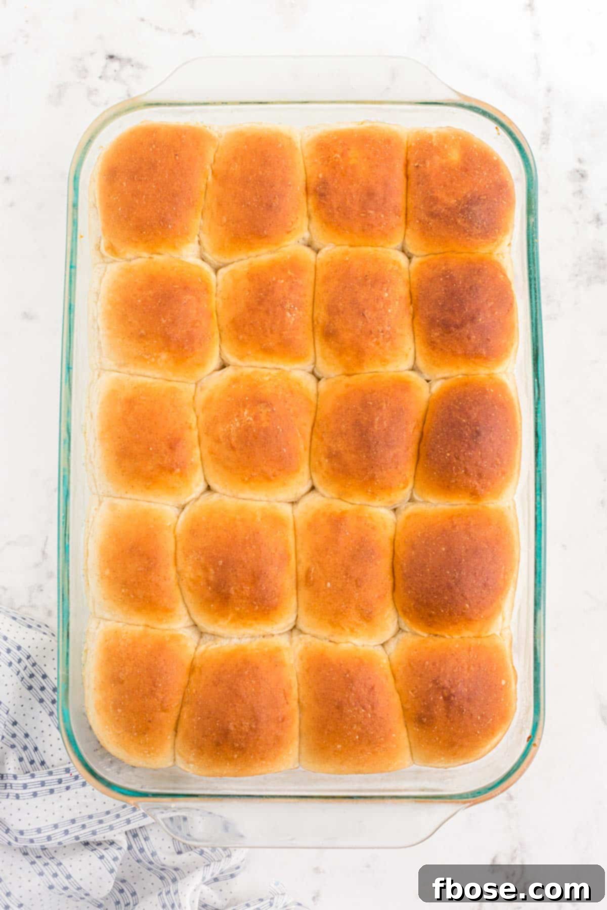 Freshly baked sourdough dinner rolls with a golden-brown crust, just out of the oven in a glass baking pan.