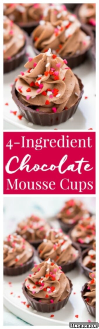 Decadent Four Ingredient Chocolate Mousse Cups 10 Pin for later: Easy 4-Ingredient Chocolate Mousse Cups, a quick no-bake chocolate dessert perfect for any occasion.