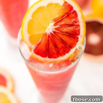 Blood Orange Cocktail, a perfect blend of blood oranges, gin, lemon juice, citrus bitters, Cointreau, and ice.