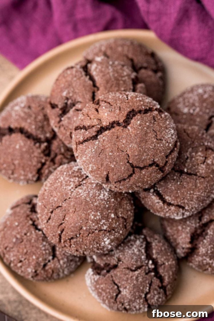 Soft chocolate sugar cookies artfully arranged on a rustic brown plate, resting on a soft purple napkin, ready to be enjoyed.
