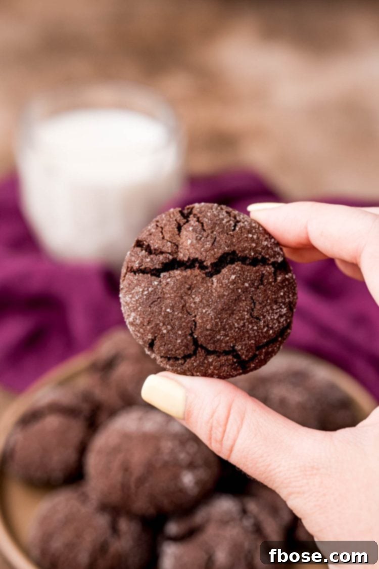 A woman's hand gently holds a perfectly baked, soft chocolate sugar cookie towards the camera, showcasing its beautiful sugar coating.