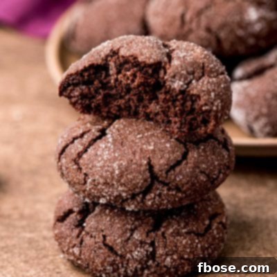 Close up photo of a stack of three chocolate sugar cookies with the top one missing a bite.