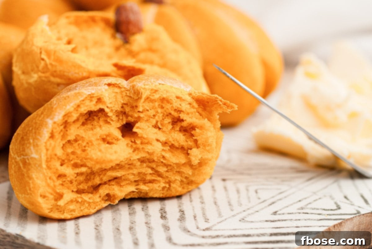 Spiced Pumpkin Feast Rolls 3 A perfectly baked pumpkin dinner roll, gently pulled apart to reveal its soft, fluffy, and tender interior texture, inviting a bite.