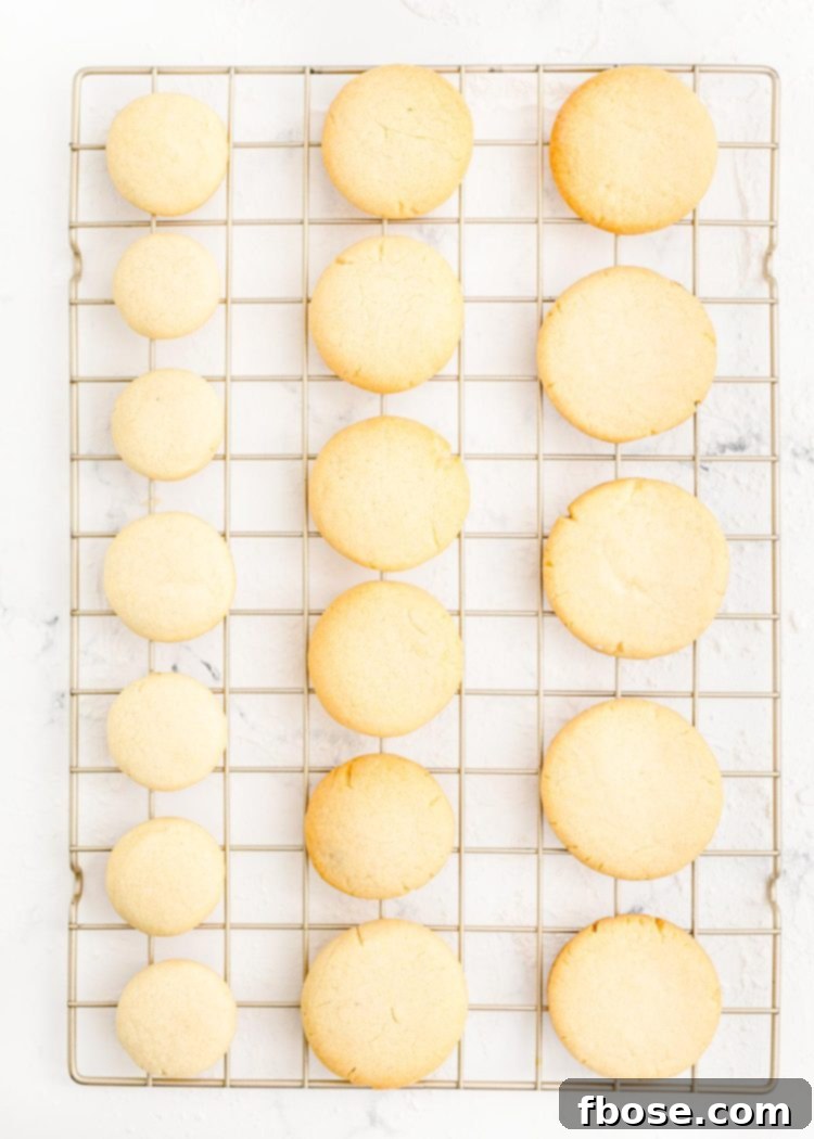 Festive Fir Tree Treats 9 Freshly baked sugar cookies resting on a wire rack, cooling to perfection before decorating.