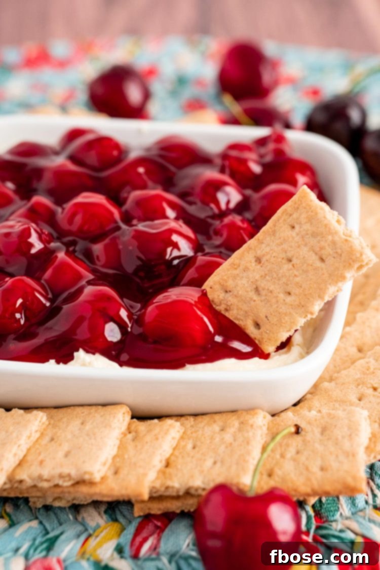 An inviting close-up photo of the finished Cherry Cheesecake Dip, with a graham cracker perfectly dipped into the creamy dessert, surrounded by more crackers and fresh cherries, ready to be enjoyed.