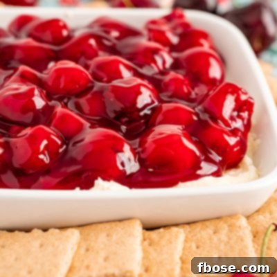 Close up photo of a dish filled with cherry cheesecake dip with graham crackers and fresh cherries around it.