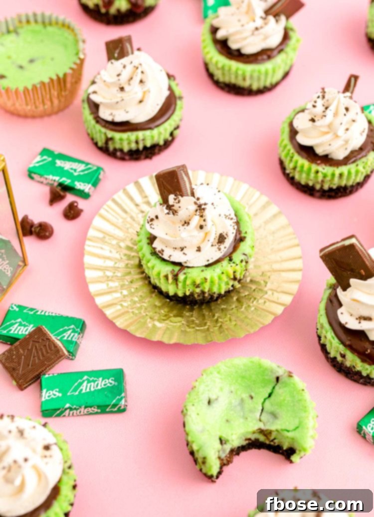 Mint Chocolate Oreo Cheesecakes 3 Mini mint oreo chocolate cheesecakes on a pink surface with andes mint candies around them.