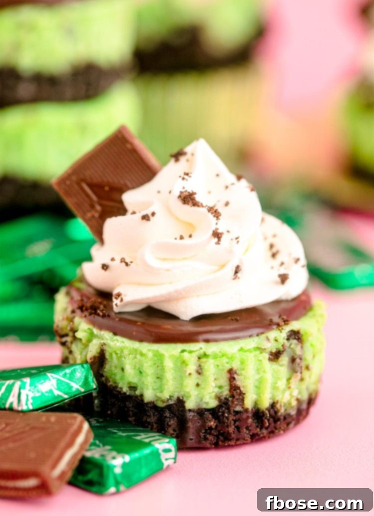 Mint Chocolate Oreo Cheesecakes 6 Mini Oreo Mint cheesecakes on a pink surface with mint candies around them.