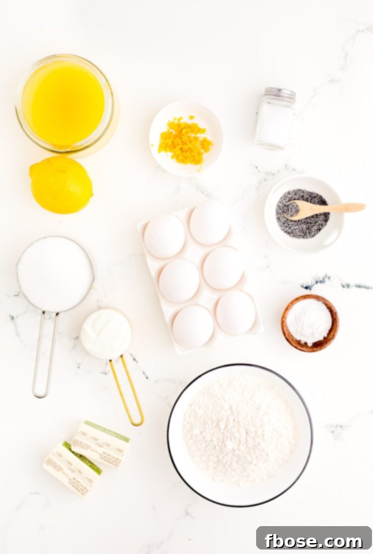 Ingredients to make lemon poppy seed muffins prepped on a marble surface.