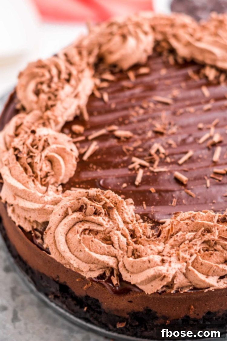 Decadent Instant Pot Chocolate Cheesecake 6 Close up photo of chocolate cheesecake.