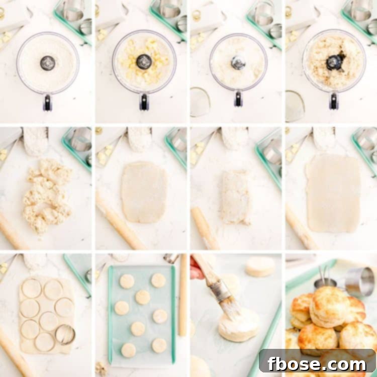 Step by step photo collage showing how to make buttermilk biscuits.