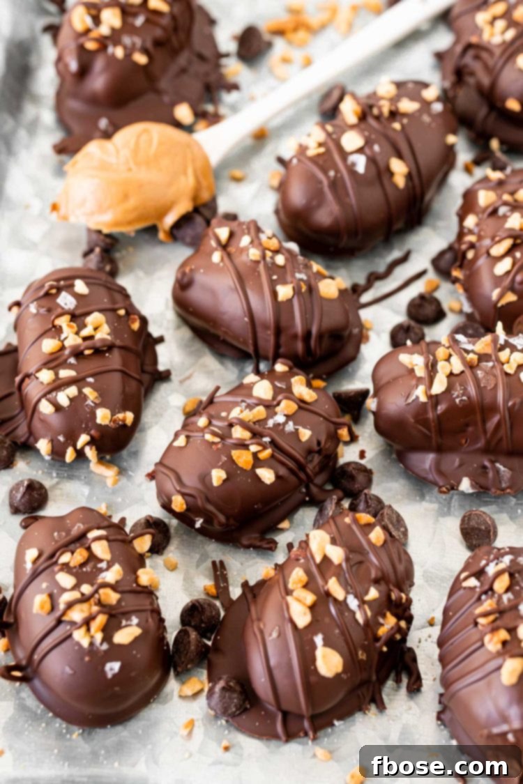 A metal tray filled with freshly prepared stuffed Medjool dates, topped with crushed peanuts before chocolate coating.