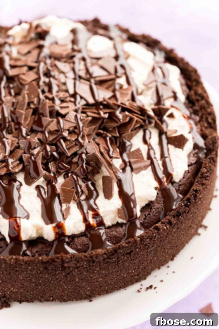 Close up photo of a Mississippi Mud Pie on a white cake stand with chocolate pieces and chocolate drizzle on top, highlighting its rich, creamy texture and generous chocolate toppings.
