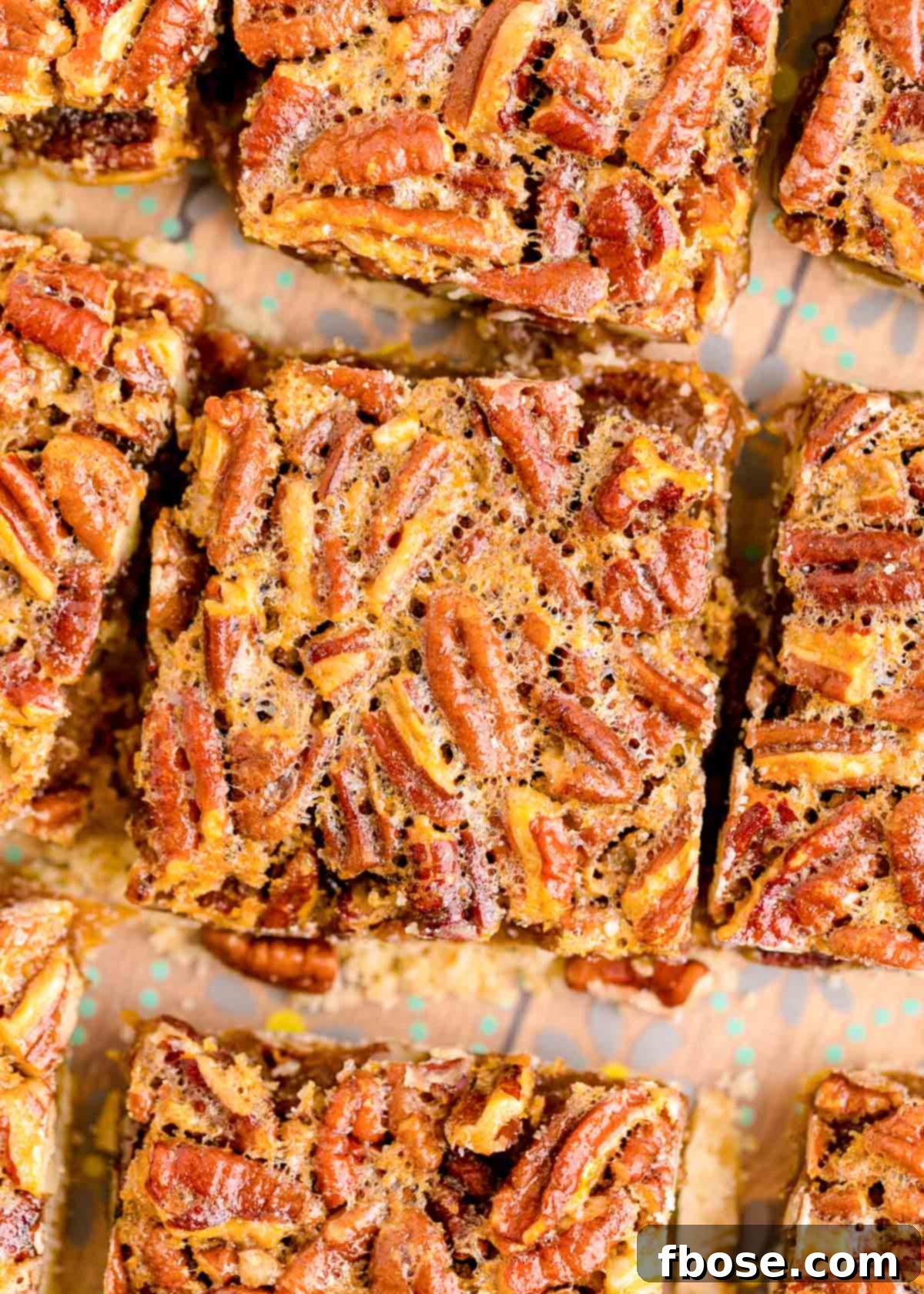 Close up overhead photo of perfectly sliced pecan squares, showcasing their layered texture.