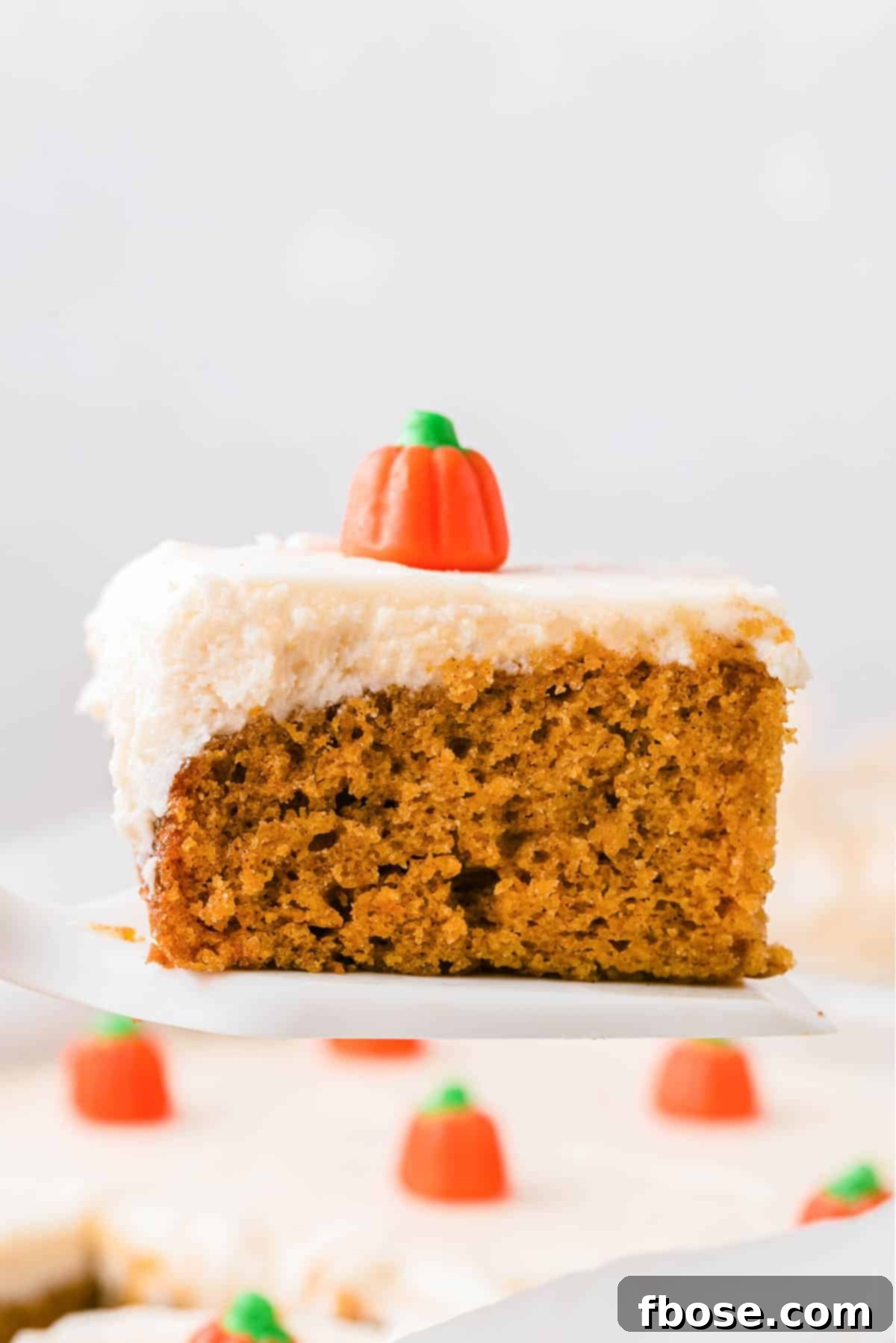 Effortless Autumn Pumpkin Bake 3 A spatula delicately lifting a perfectly baked piece of pumpkin sheet cake from the pan, showcasing its moist texture.