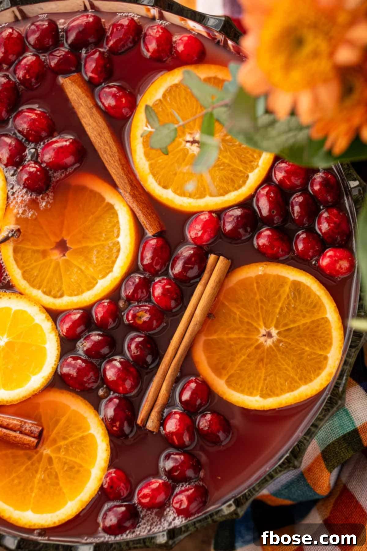 Overhead photo of a bowl of fall punch topped with cranberries, cinnamon, and oranges.