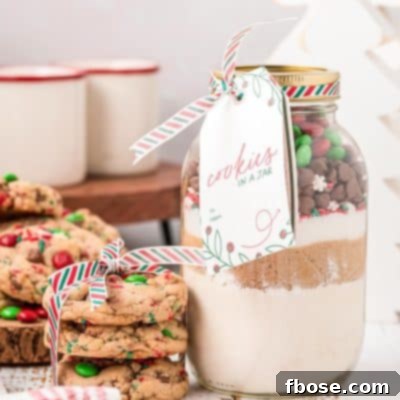 Holiday Cheer Cookie Jars 6 A jar of cookie mix with a stack of cookies next to it.