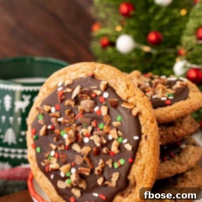 A stack of Christmas Crack Cookies on a plate with one leaning against them, inviting a taste.