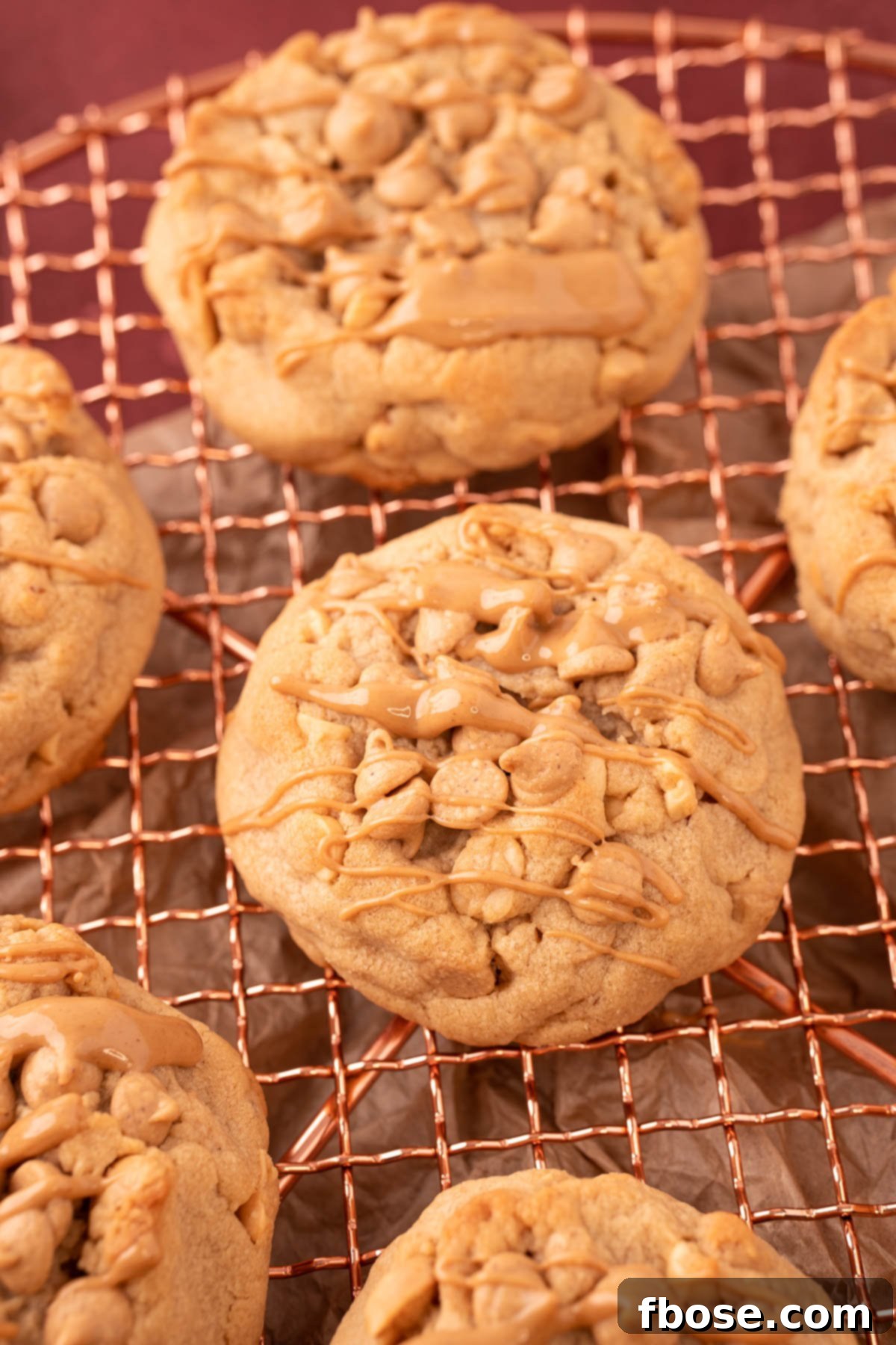 Gourmet Peanut Butter Delights 7 Peanut Butter Cookies made with nuts and peanut butter chips on a copper wire rack.