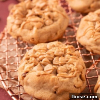 Gourmet Peanut Butter Delights 9 Thick Triple Peanut Butter Cookies on a copper wire rack.