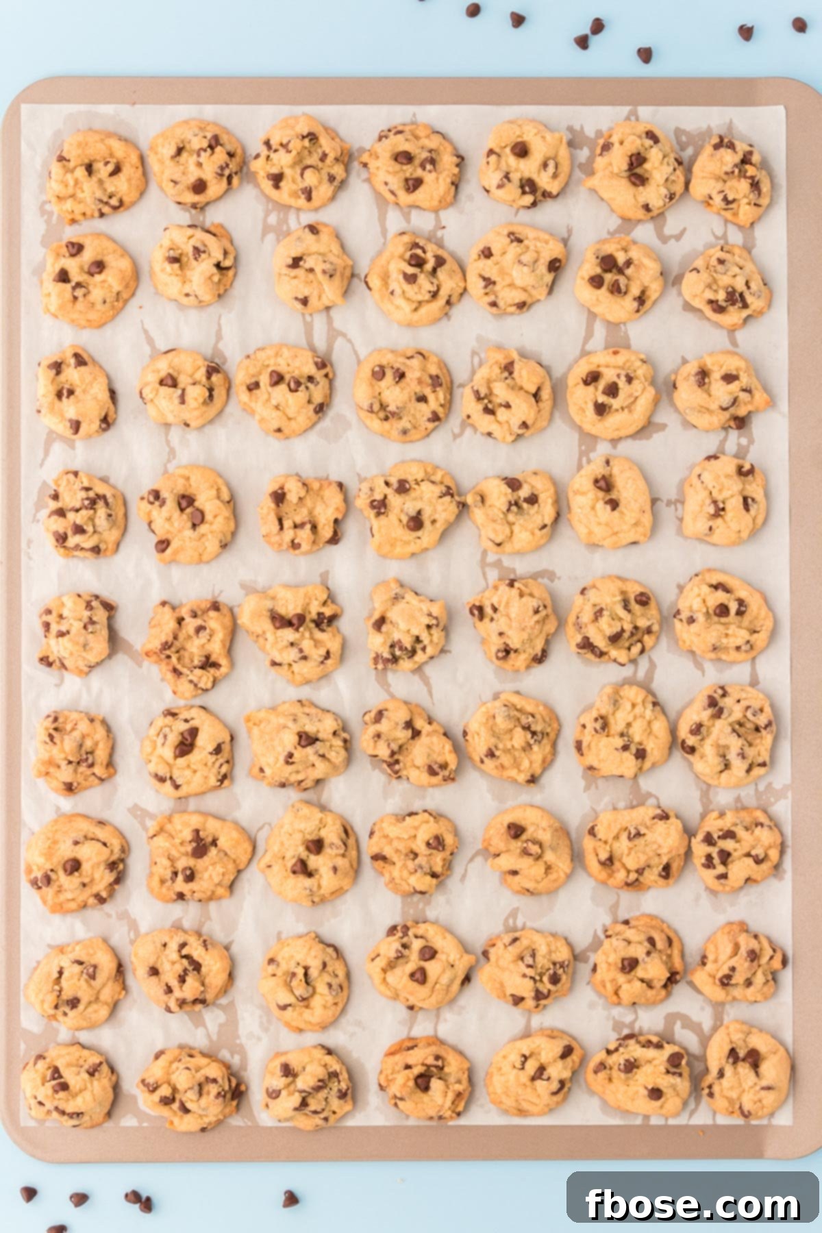 Mini chocolate chip cookies on a baking sheet.