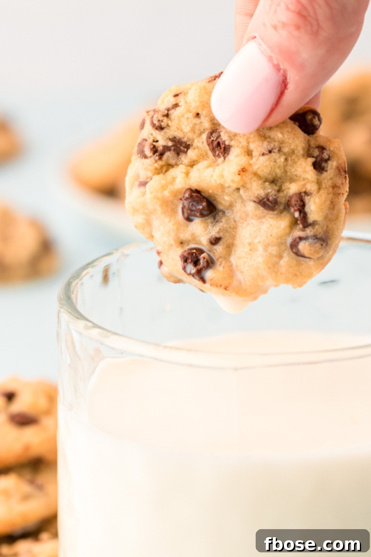 Mini chocolate chip cookie being dipped in a glass of milk.