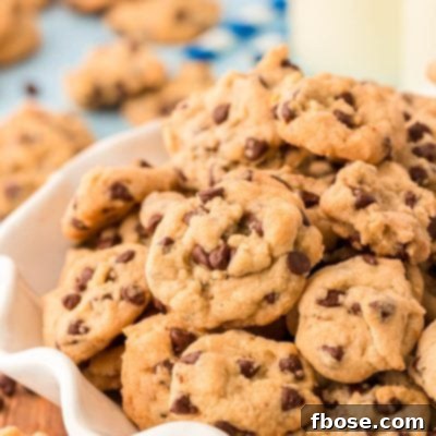 A bowl filled with mini chocolate chip cookies.