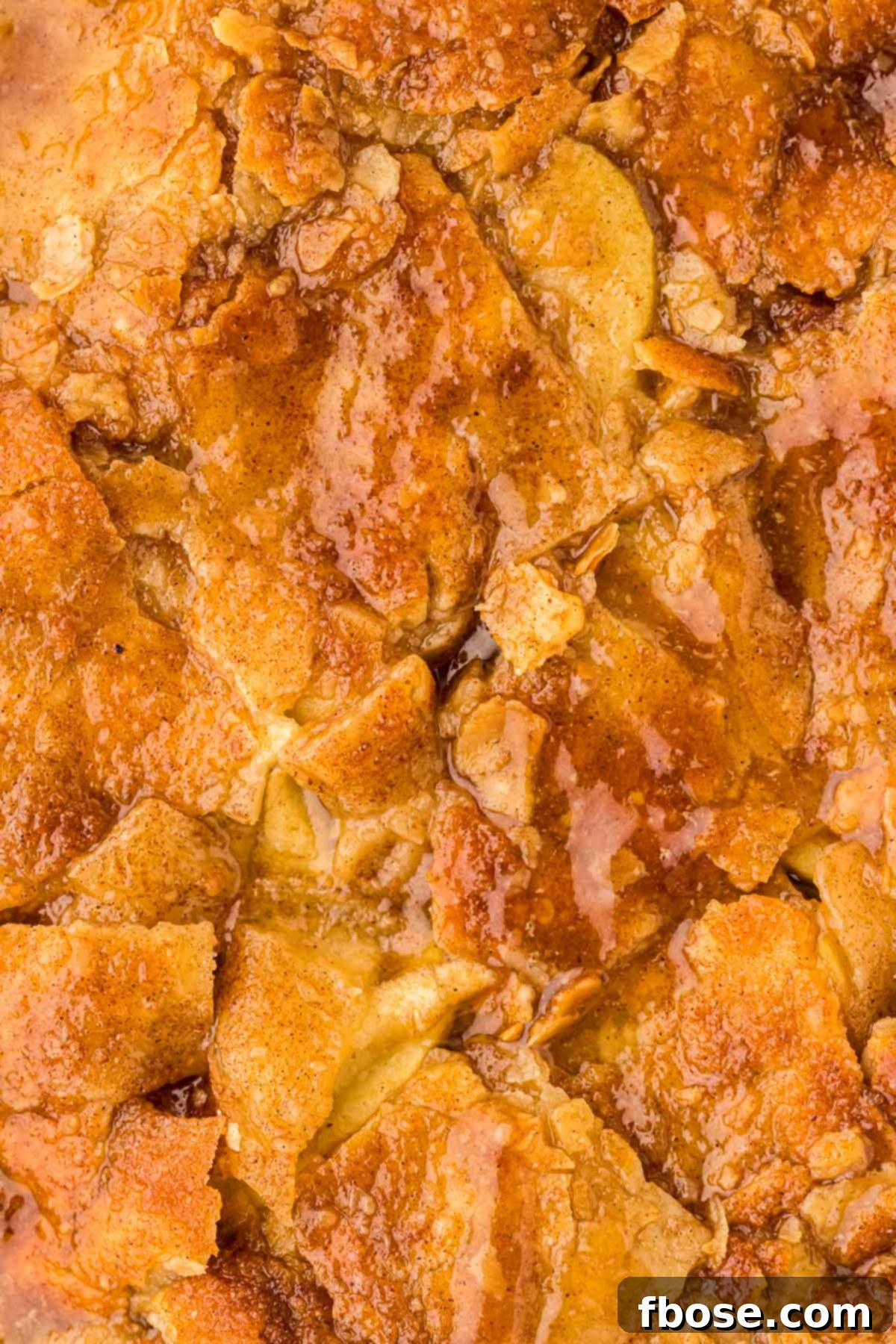 Apple pandowdy close up.