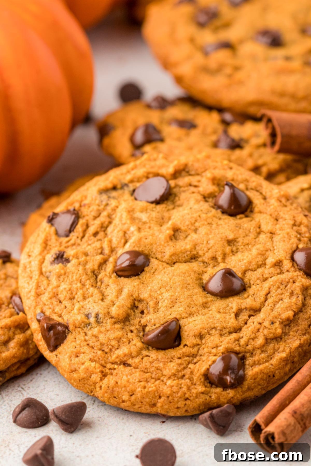 Velvety Pumpkin Chocolate Chip Delights 2 Close up of a stack of soft pumpkin chocolate chip cookies, one with a bite taken.