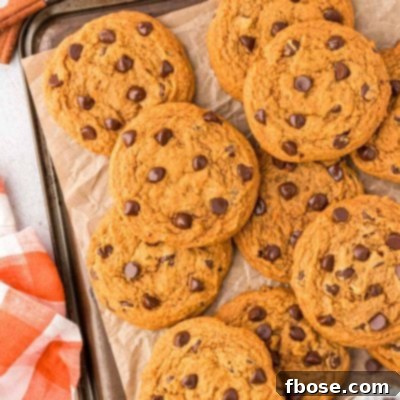 Velvety Pumpkin Chocolate Chip Delights 10 Pumpkin chocolate chip cookies on a cookie sheet.